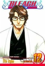 Bleach 12