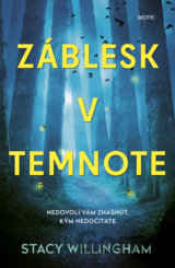Záblesk v temnote
