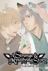 A Strange and Mystifying Story 5