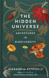 The Hidden Universe