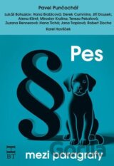 Pes mezi paragrafy