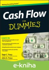 Cash Flow For Dummies