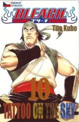 Bleach 10