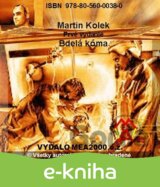 Bdelá kóma