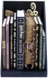Harry Potter: Page to Screen