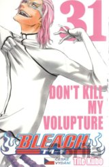 Bleach 31