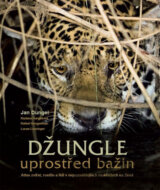 Džungle uprostřed bažin
