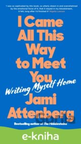 I Came All This Way to Meet You