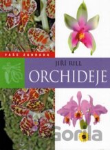 Orchideje