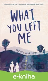 What You Left Me