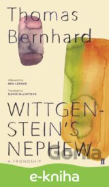 Wittgenstein's Nephew