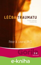 Léčba traumatu