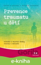 Prevence traumatu u dětí
