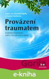 Provázení traumatem
