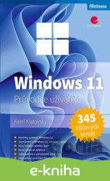 Windows 11