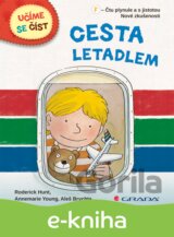 Cesta letadlem