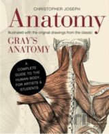Anatomy