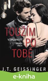 Toužím po tobě