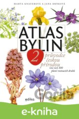 Atlas bylin 2