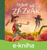 Stane sa zázrak