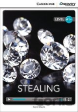 Stealing High Beginning Book with Online Access