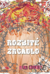 Rozbité zrcadlo