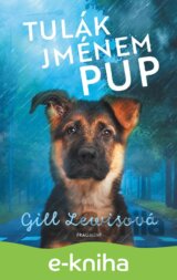 Tulák jménem Pup