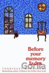 Before Your Memory Fades