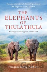 The Elephants of Thula Thula