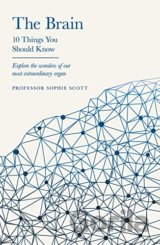 The Brain: 10 Things You Should Know