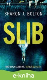 Slib
