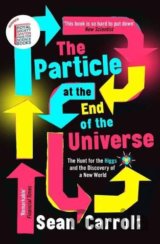 The Particle at the End of the Universe