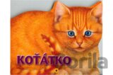 Koťátko