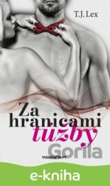 Za hranicami túžby