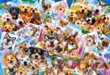 Selfie Pet Collage