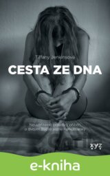 Cesta ze dna