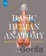 Basic Human Anatomy