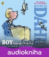 Boy: Tales of Childhood