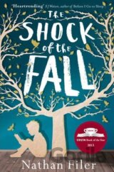 The Shock of the Fall