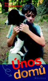 Únos domů