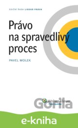 Právo na spravedlivý proces