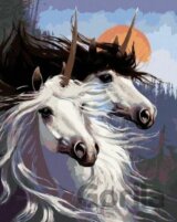 Malování podle čísel: Pár jednorožců Northern Promotions