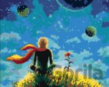 Malování podle čísel: Malý princ - A růže