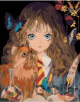 Malování podle čísel: Harry Potter - Hermiona a Křivonožka