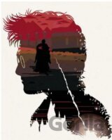 Malování podle čísel: Harry Potter - Harry a Lord Voldemort