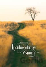 Lucidné obrazy v snoch