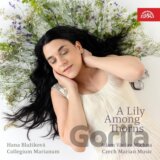 Blažíková Hana,Collegium Marianum: Michna - Mariánská Muzika