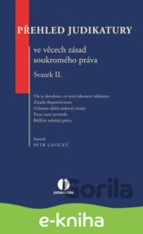 Přehled judikatury ve věcech zásad soukromého práva. Svazek II.