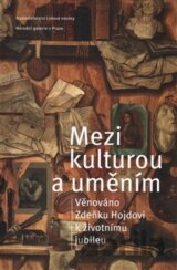 Mezi kulturou a uměním