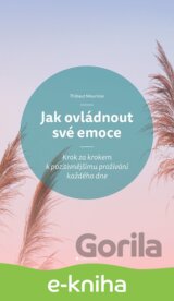 Jak ovládnout své emoce